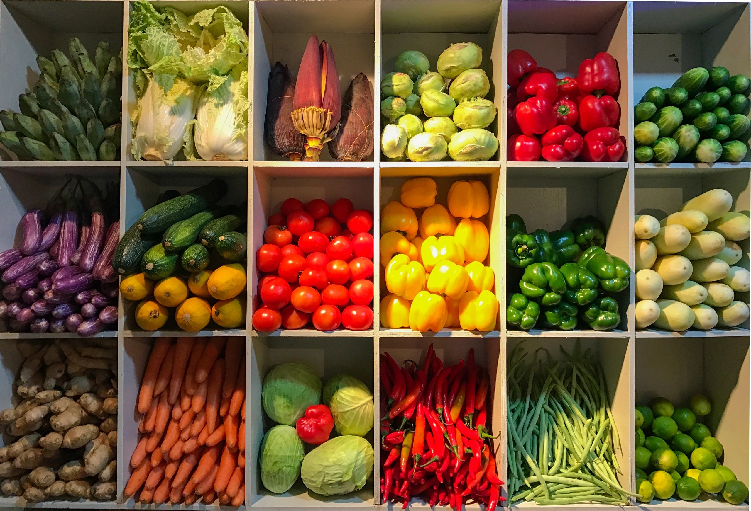 Assorted fresh vegetables displayed for wholesale supply