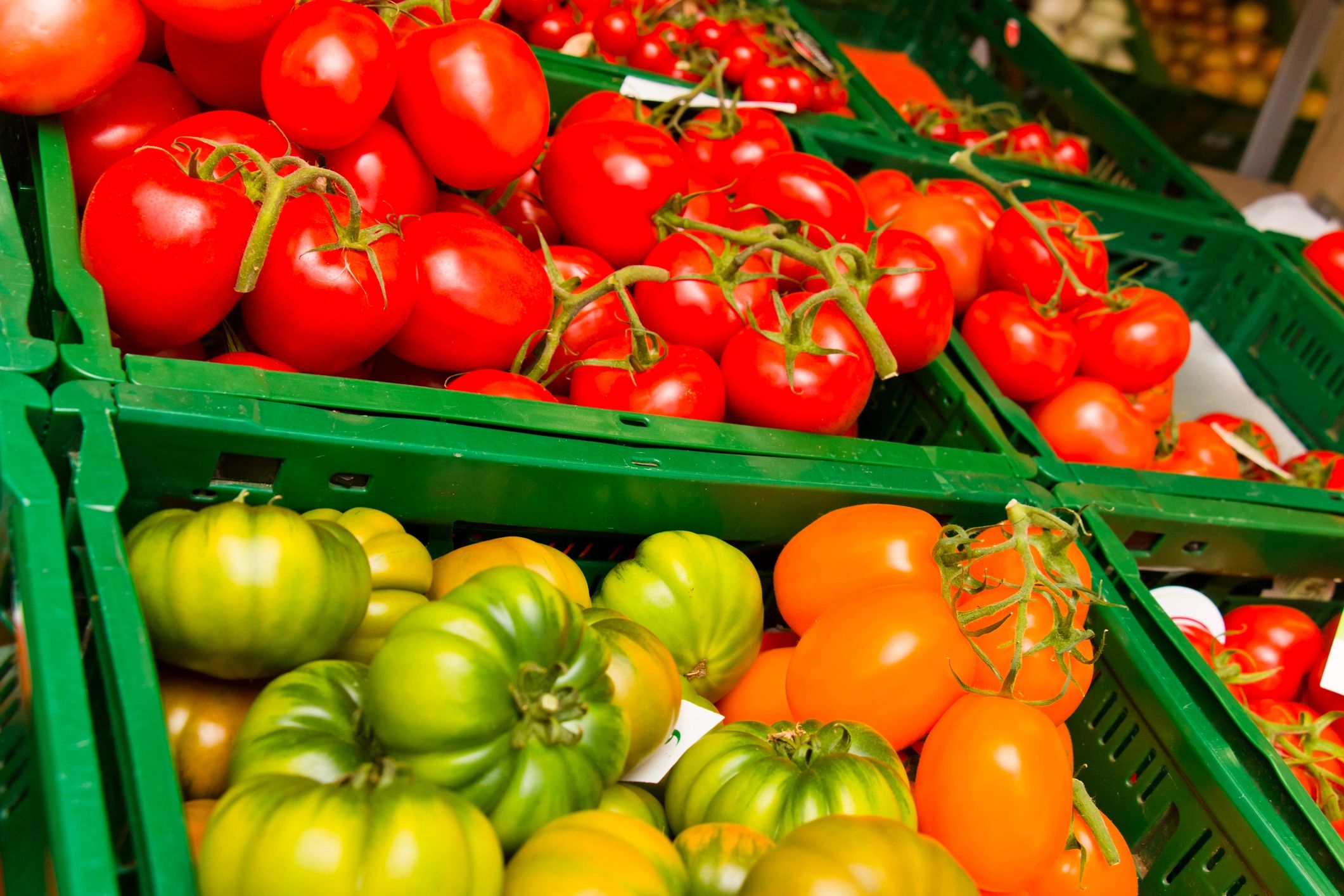 Wholesale vegetable quality inspection and sourcing support for B2B buyers