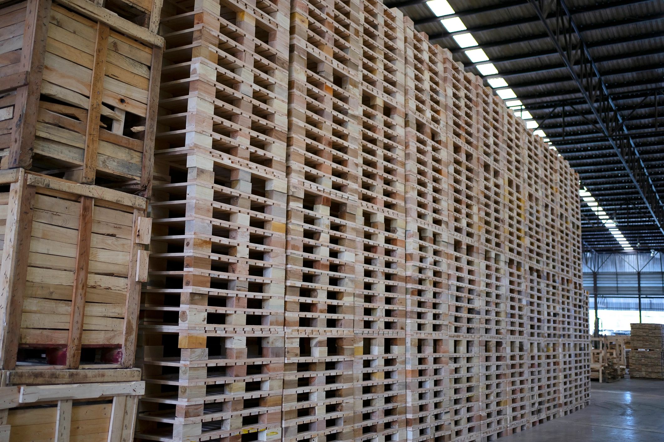 Pallet handling and freight preparation for wholesale dispatch