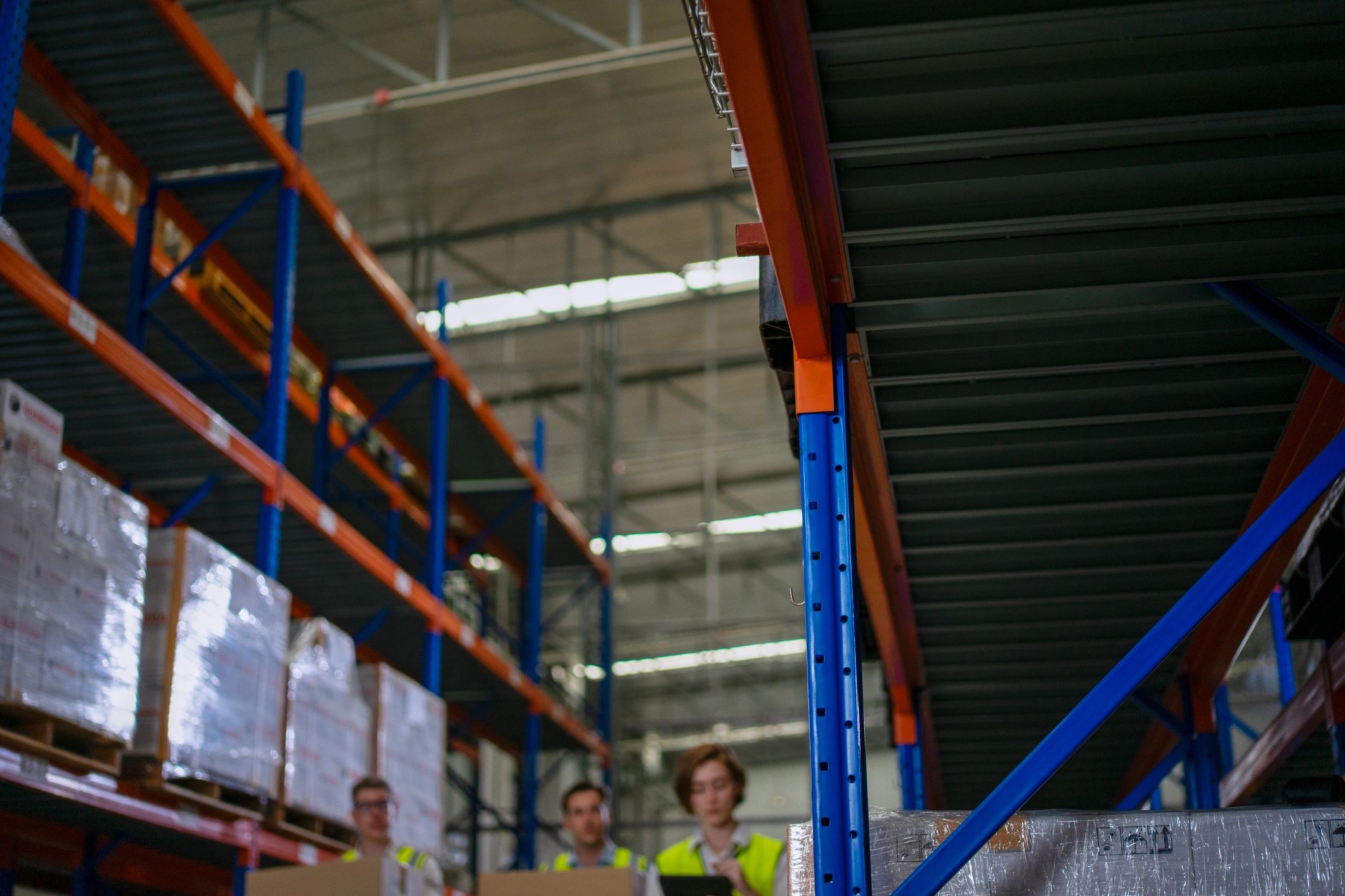Warehouse team sorting and handling vegetable inventory for B2B distribution