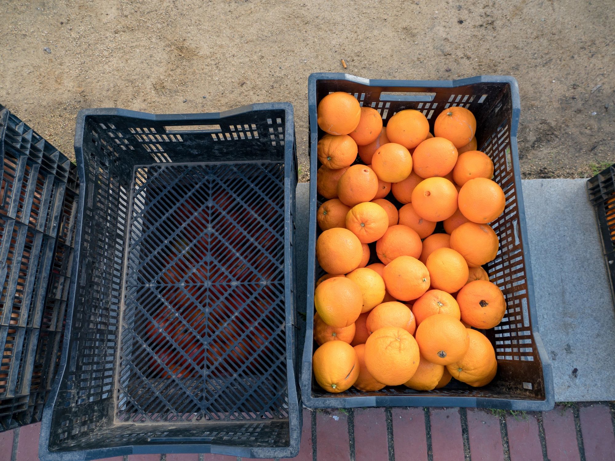 Crated oranges arranged for bulk fruit sourcing and market dispatch