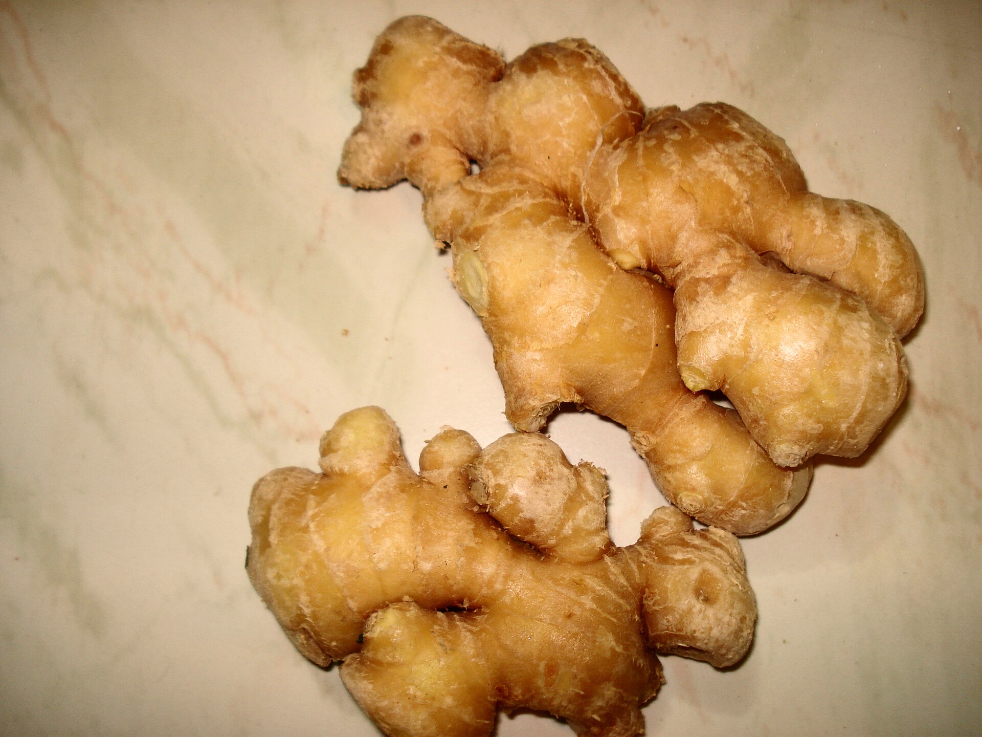 Fresh ginger for wholesale supply from Bulky Business