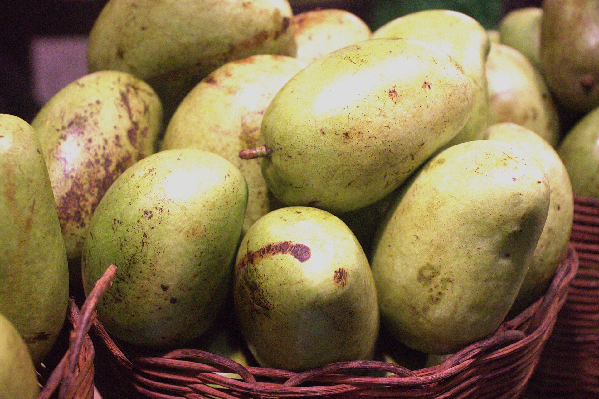 Fresh mangoes for wholesale supply from Bulky Business