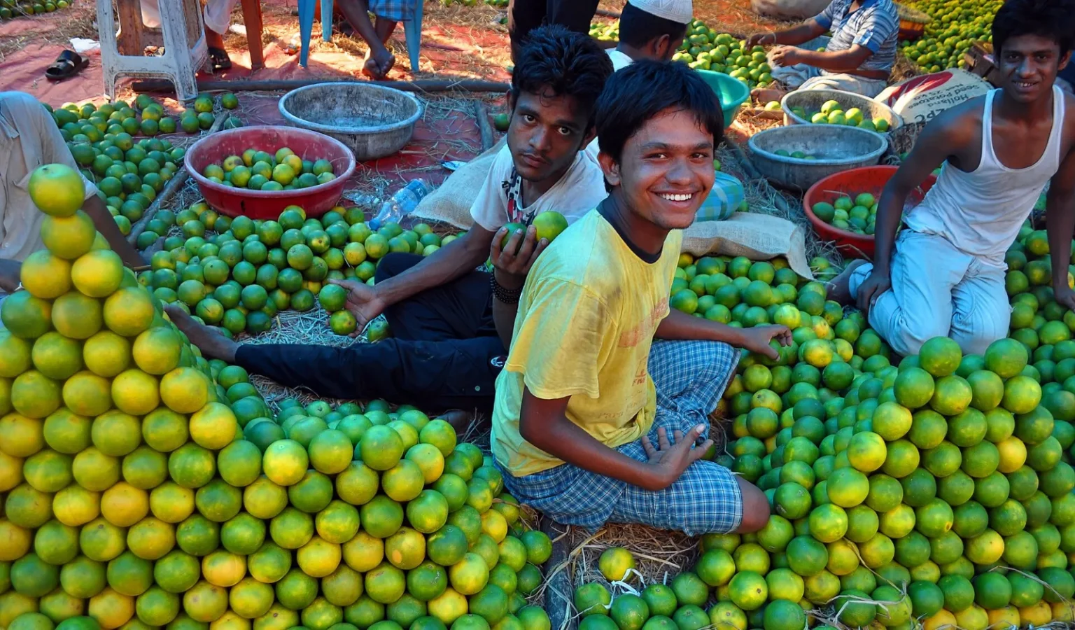 Sweet lime (mosambi) traders at a wholesale fruit market in Kolkata