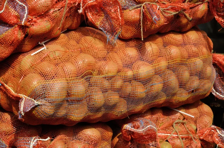 Potatoes in mesh sacks at a wholesale market in Kolkata